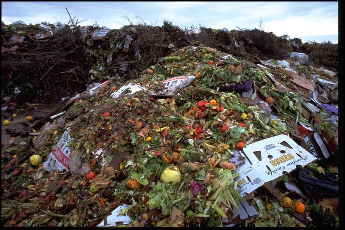 Свалка органических отходов